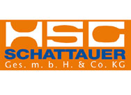 Logo HSG-Schattauer GmbH